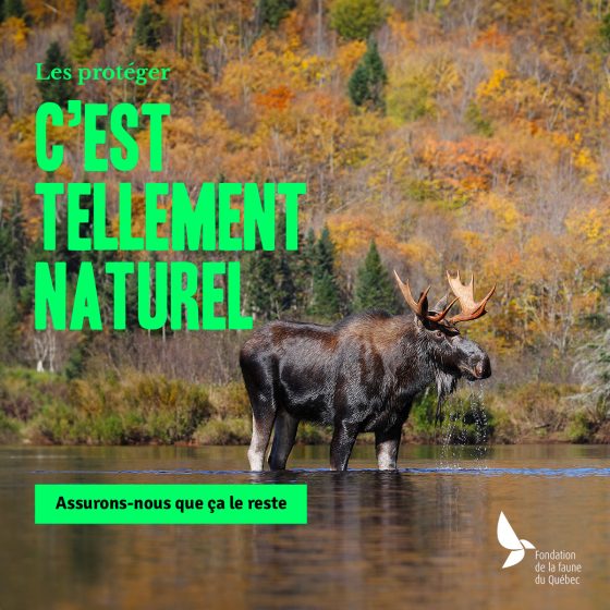 C'est tellement naturel