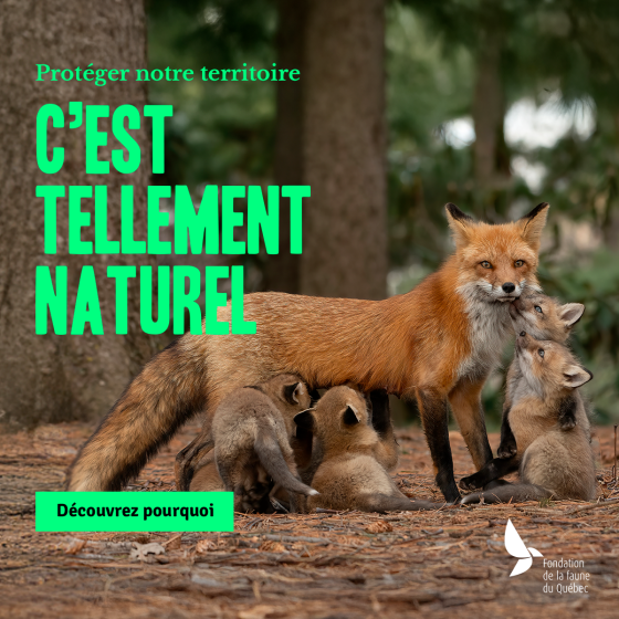 C'est tellement naturel
