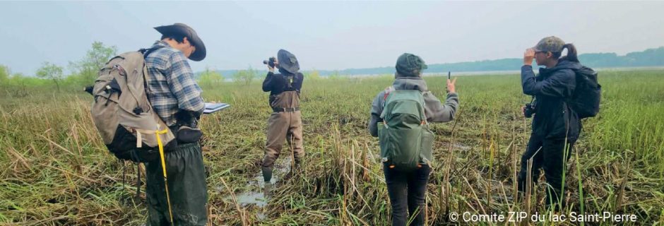 35 ans d’actions pour le lac Saint-Pierre