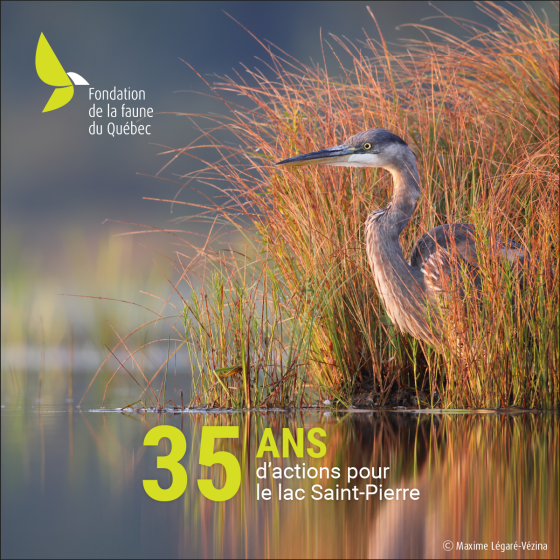 Obtenez votre calendrier 2026 !