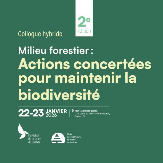 Colloque hybride Milieu forestier : Actions concertées pour maintenir la biodiversité