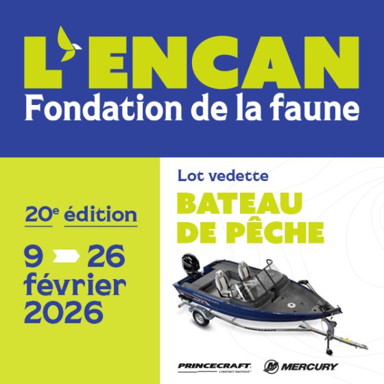 Offrez un lot pour la 20e édition !