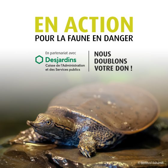 Votre don sera doublé !