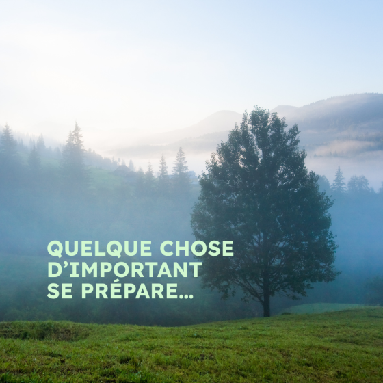 Le 21 mai prochain, restez à l’affût !